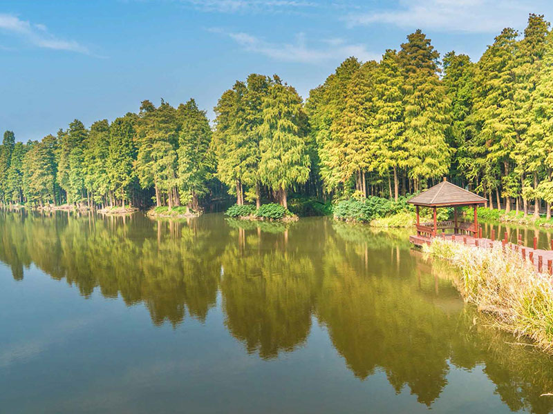 專業(yè)團(tuán)隊(duì)，駕馭創(chuàng)新